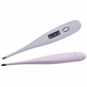 Digital LCD Thermometer